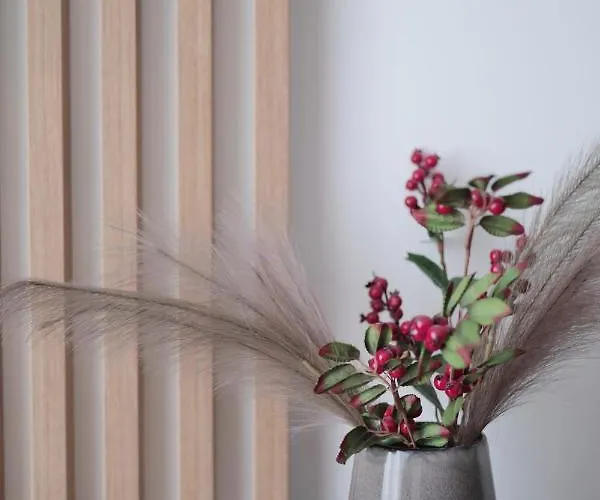 Apartment Capital Towers - Red Z Widokiem Na Panorame Miasta I Rzeke Rzeszow